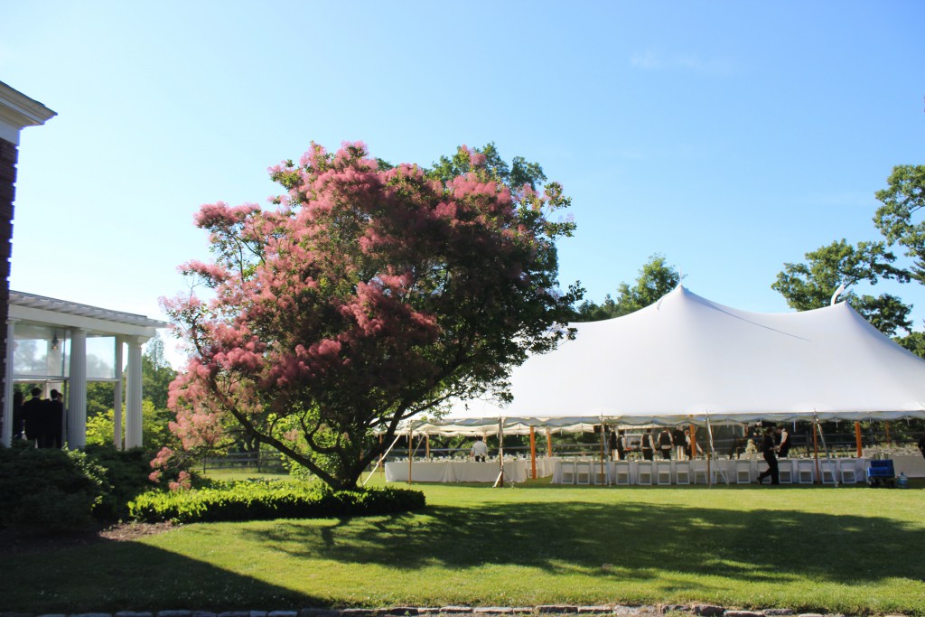 Tented wedding at The Bradley Estate